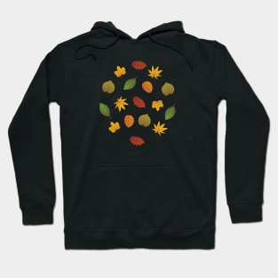 Autumn Fall Leaves Hoodie